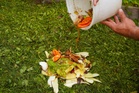 How to Compost Spent Vegetable Plants Safely