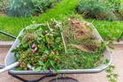 Why Some Garden Debris Should Stay Until Spring