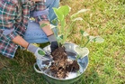 Before You Accept Free Plants From a Neighbor, Check for This Hidden Garden Pest