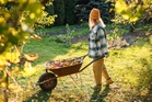 Stop Cleaning Up Your Garden This Fall — 7 Things Experts Say to Leave Alone