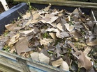 The Best Brown Materials for a Fall Compost Pile