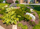 Can Your HOA Actually Tell You What Flowers You’re Allowed to Plant?