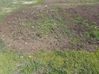 How to Identify Bare Spots in Garden Beds Before Winter