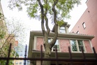 The $20 Garden Center Purchase That Could Damage Your House Years Later