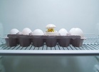 Why Are Eggs Refrigerated in America but Left on the Shelf in Other Countries?