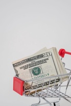 What Does $20 Buy at Dollar Tree vs. Aldi?