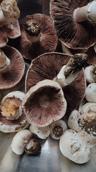 Stop Washing These Foods Before You Store Them