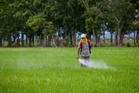 SPRM buka kertas siasatan isu kelewatan agihan baja di Kedah