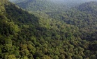 Empat sekeluarga hilang ketika daki Gunung Trans Gerah berasal dari Yong Peng