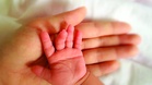 Kerajaan belum bercadang perkenal skim pendidikan bayi