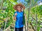 SHBKG berjaya komersialkan hutan bakau jana pendapatan stabil