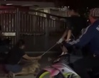 [VIDEO] Operasi tangkap anjing liar jadi kecoh, ugut guna pisau