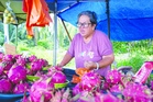 ‘Dulu pelanggan belanja RM60 beli buah, kini hanya RM10’