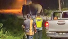 Ada bayi dalam rumah, gajah seronok makan tebu