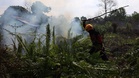 Asap jerebu berpotensi tersebar ke Malaysia