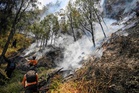 El Nino tiba di Indonesia, Taman Negara Gunung Bromo terbakar