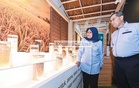 BERNAS angkat kisah keterjaminan makanan