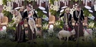 Bukan emas tetapi biri-biri Merino hantaran perkahwinan