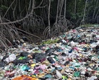 Hutan paya bakau Sungai Merbok terus jadi ‘port’ buang sampah