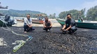 Pantai Teluk Kalong kembali dicemari sisa arang batu