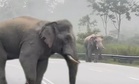 [VIDEO] Pagi ini nampak Sulong jalan balik hala Titiwangsa