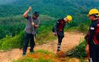 Buat duit haram dalam hutan