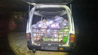 Tak sempat seludup 1.35 tan buah termasuk 300 kg durian