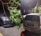 Angin kuat, pokok tumbang hempap kereta di Putrajaya
