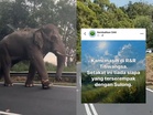 Sulong ‘menghilang’, tiada siapa terserempak hari ini
