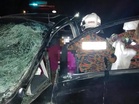 Perhilitan sedang jejak gajah dilanggar di LPT 2