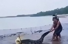 Penduduk jala ikan, dapat buaya