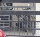 Suspek aniaya anak kucing di Batu Gajah ditahan