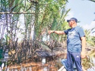 Semua agensi siasat sungai ditimbus sisa Singapura