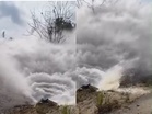 [VIDEO] ‘Kuat macam ini, pokok pun boleh tumbang’
