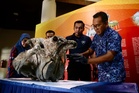 Tengkorak gajah Asia usia ratusan tahun jadi koleksi muzium