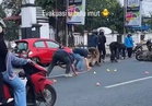 Anak ayam warna warni berkeliaran tengah jalan