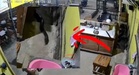 Ular hitam panjang 5 meter masuk kedai kopi 