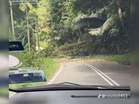 ‘Berbual pasal tanah runtuh, tiba-tiba pokok tumbang depan mata’
