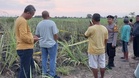 Warga emas bakar sampah ditemukan rentung