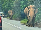 [VIDEO] Lagi 100km Sulong nak sampai Gua Musang
