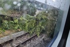 Pokok tumbang, komuter dan ETS lewat lebih 60 minit