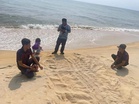 Penyu belimbing dijangka bertelur lagi di Terengganu