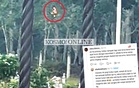 [VIDEO] Polong ‘bergerak’ dalam kebun getah dekat kubur di Rembau