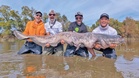 Teknik pancingan wels catfish