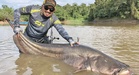 Potensi ikan gergasi dari sudut pelancongan
