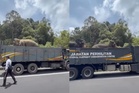 [VIDEO] Sulong tidak lagi merayau di jalan raya, dibawa ke Tasik Kenyir
