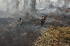 Jangan ‘canggung’ tangani karhutla