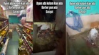 [VIDEO] Depan kedai runcit, belakang ada ‘reban’ ayam dan kolam ikan