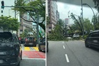 Jalan Ampang sesak, pokok tumbang hempap kereta
