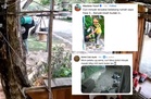[VIDEO] Tong gas, minyak terpakai penduduk, peniaga Puncak Alam kena ‘kebas’